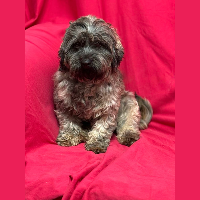 Photo of Rivera (Aka Jimmy)