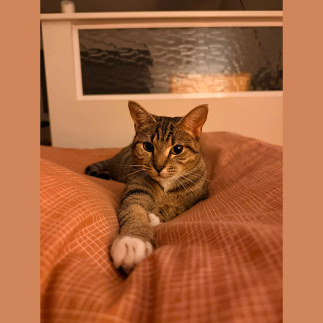 Photo of Sally