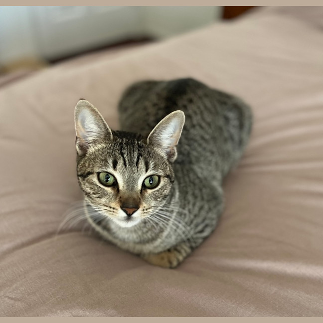 Photo of ❤️ Sarah ❤️`