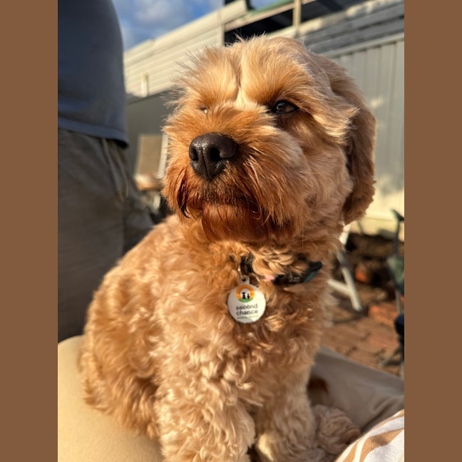 Photo of Millie