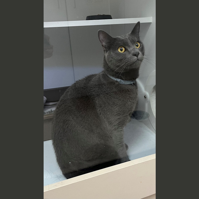 Photo of Micah (0005)