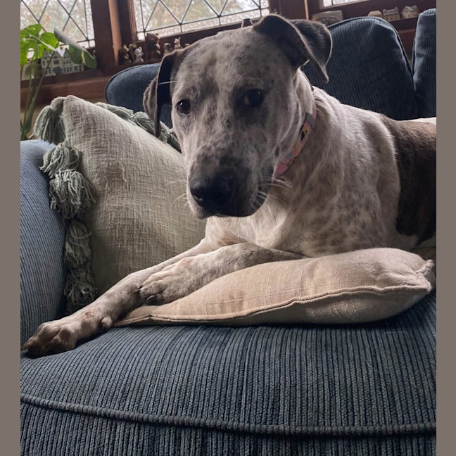 Photo of Anita Wiglet