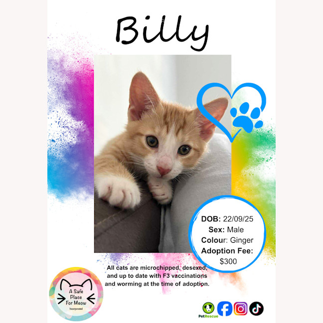 Photo of Billy