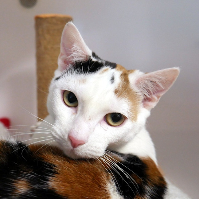 Photo of Sally Stk015696