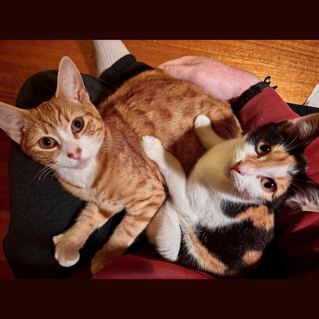 Photo of Rosie & Rudy 