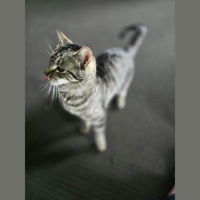 Photo of Artria