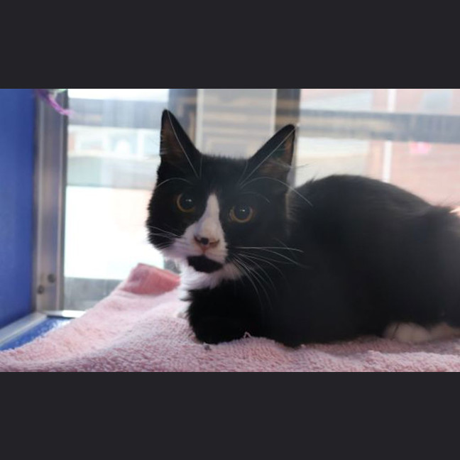 Photo of Dottie