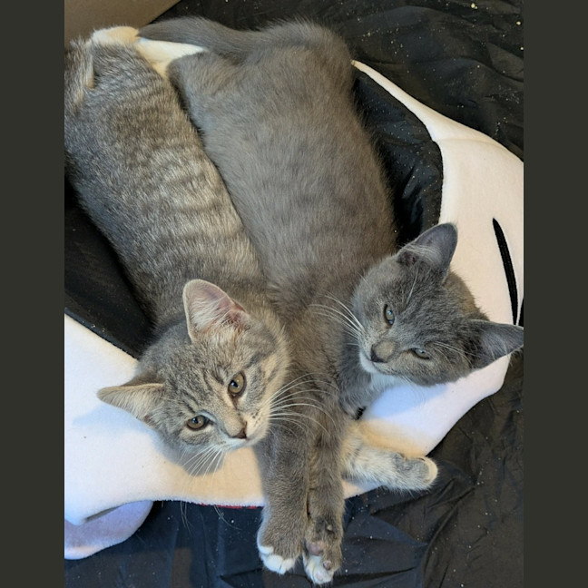 Photo of Freddie / Ellie