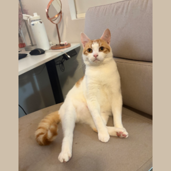 Photo of Clive