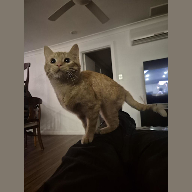 Photo of Wilma