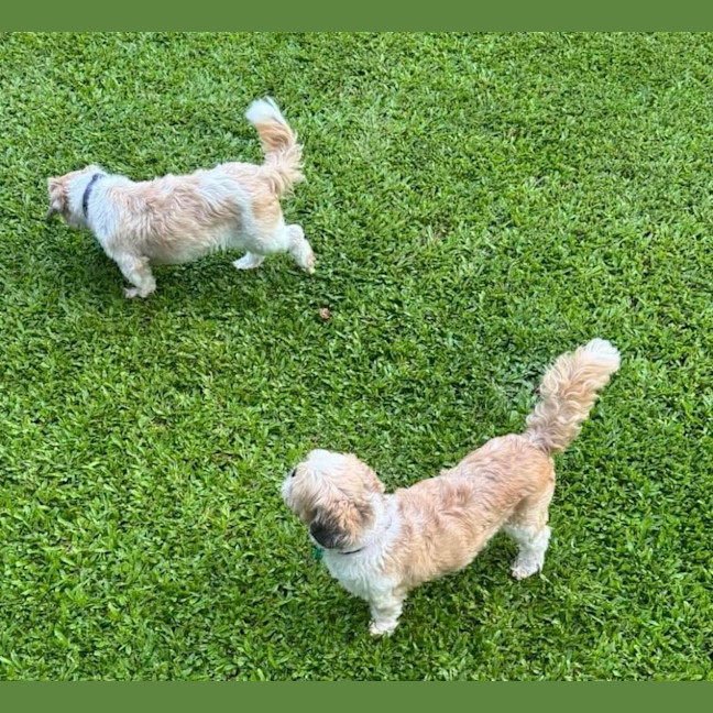 Photo of Chewy & Squiddley