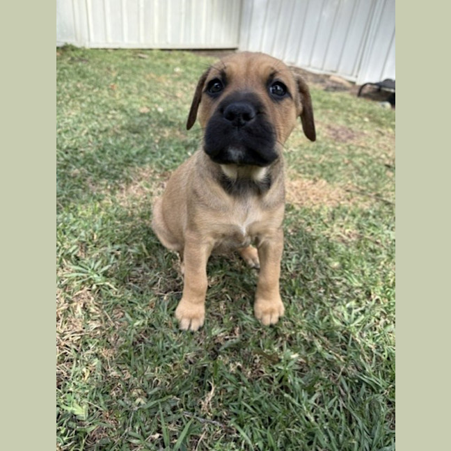 Photo of Maggie