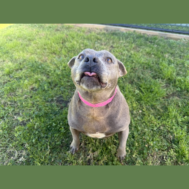 Photo of Piglet Imp 1675