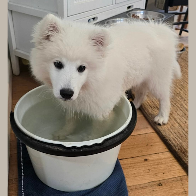 Photo of Yuki