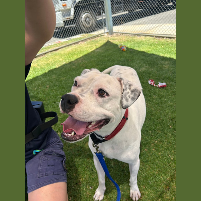 Photo of Sheriff