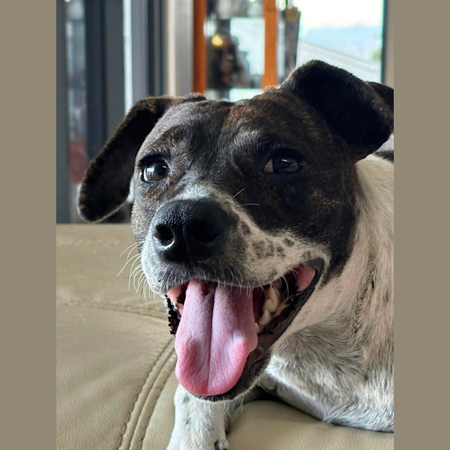 Photo of Billie Jean