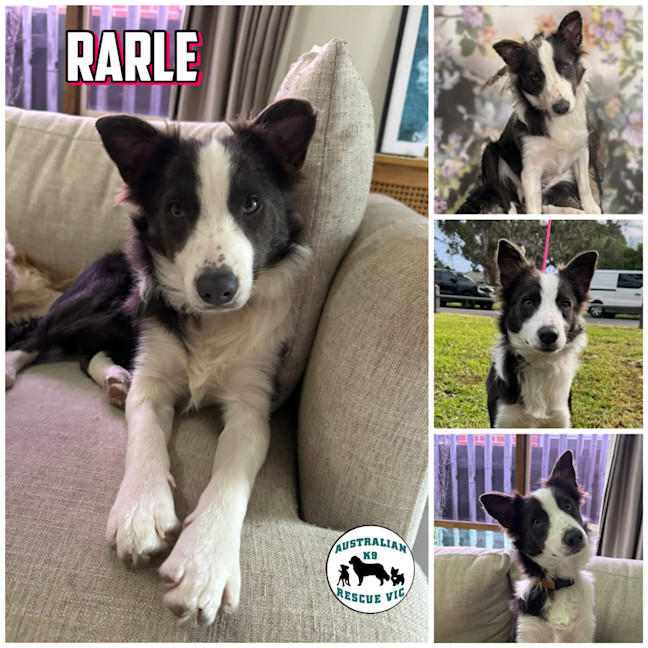 Photo of Rarle