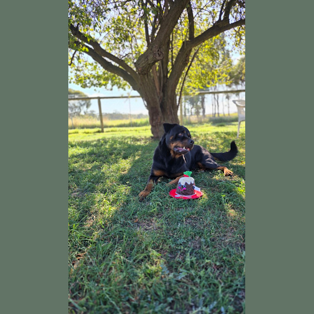 Photo of Bob
