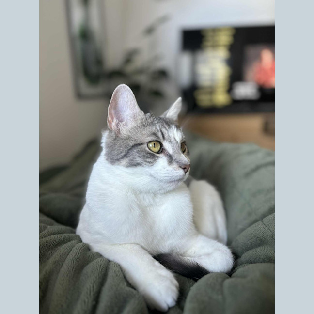 Photo of Cloud & Pebble