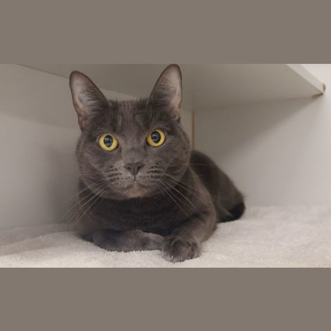 Photo of Lilith