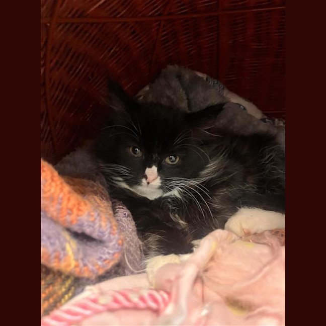 Photo of Mrs Mclusky