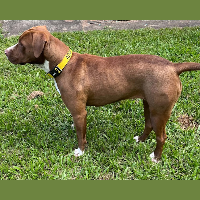 Photo of Cliffette