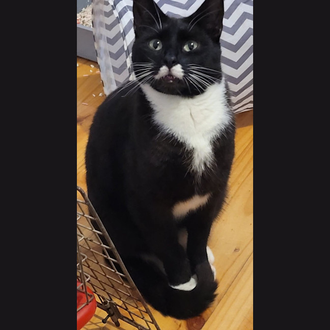 Photo of Moe
