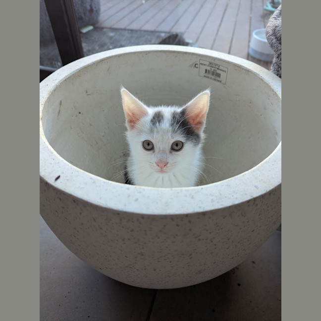 Photo of Mellie Baby