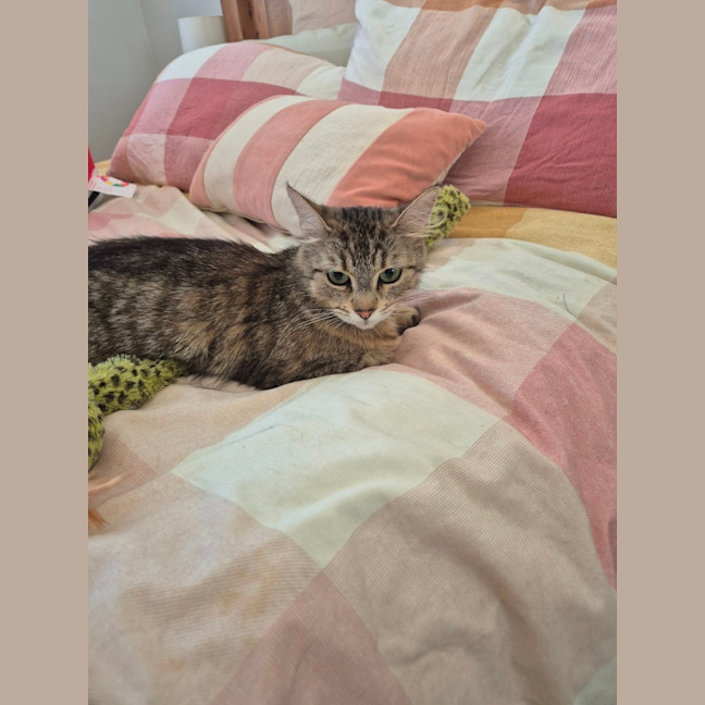 Photo of Daisy
