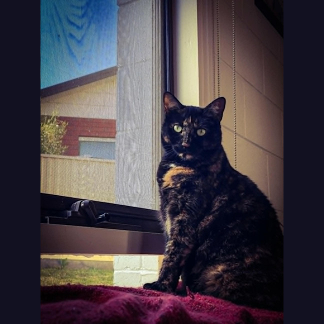 Photo of Freya