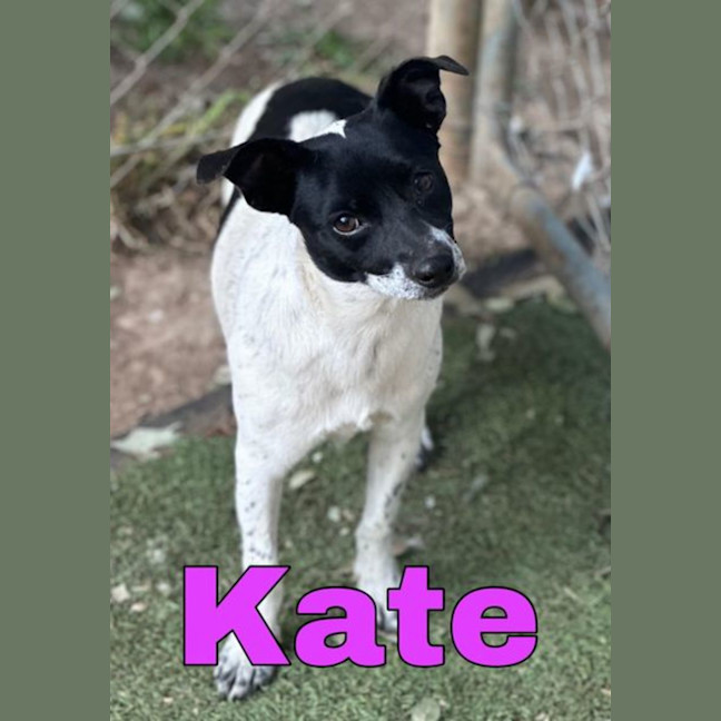 Photo of Ryan & Kate 