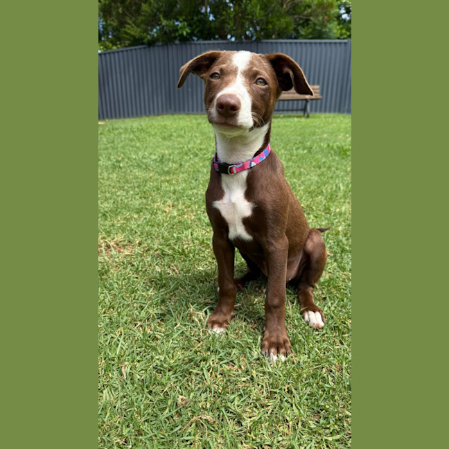 Photo of Marnie