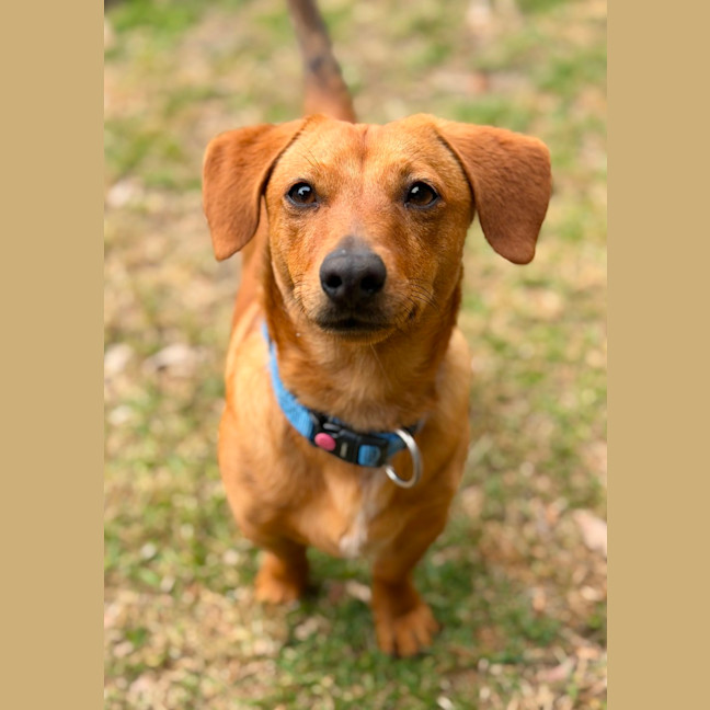 Photo of Bundy 