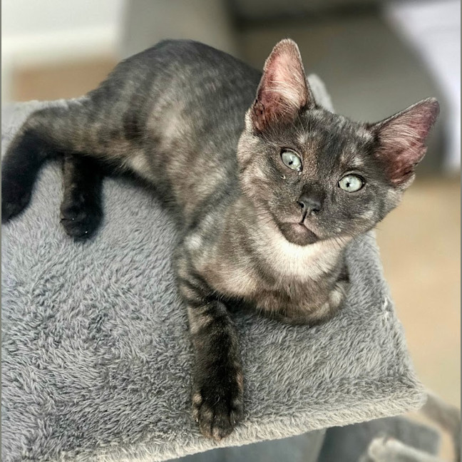Photo of Amari