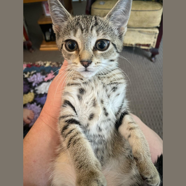 Photo of Evie