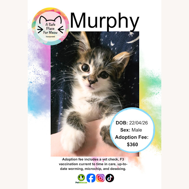 Photo of Murphy
