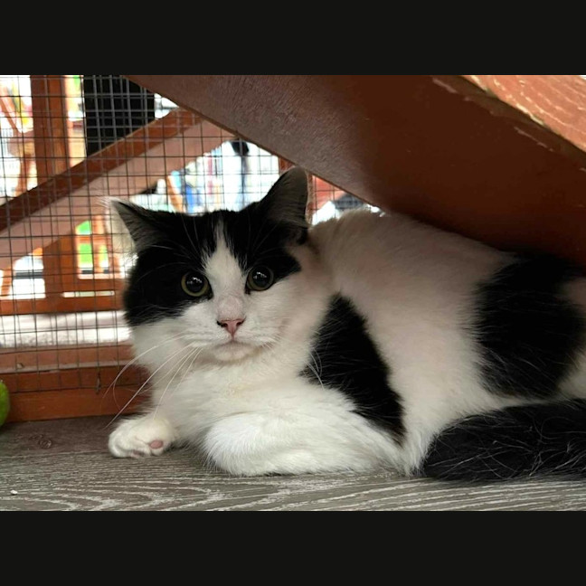 Photo of Fruit Tingle