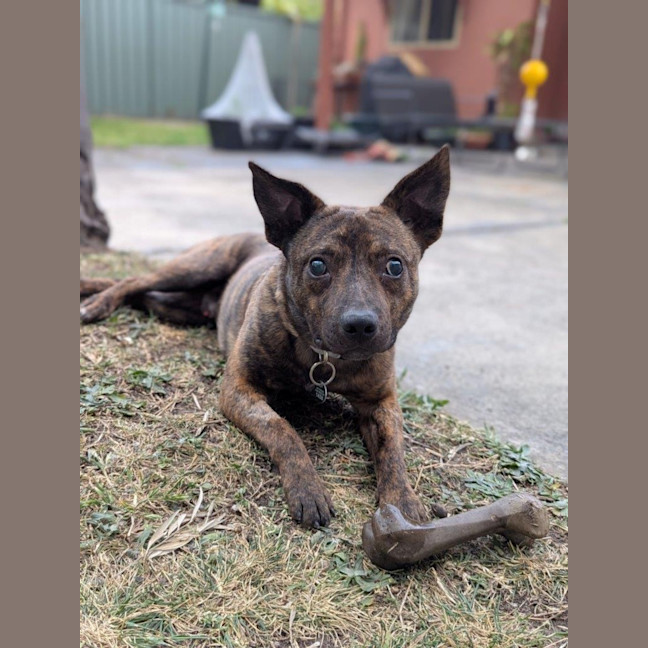 Photo of Horace Silvanus