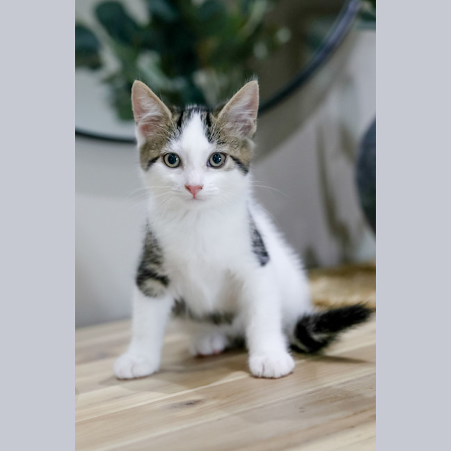 Photo of Izzy