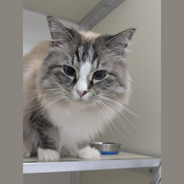 Photo of 🥂 Kiki 6409 🥂