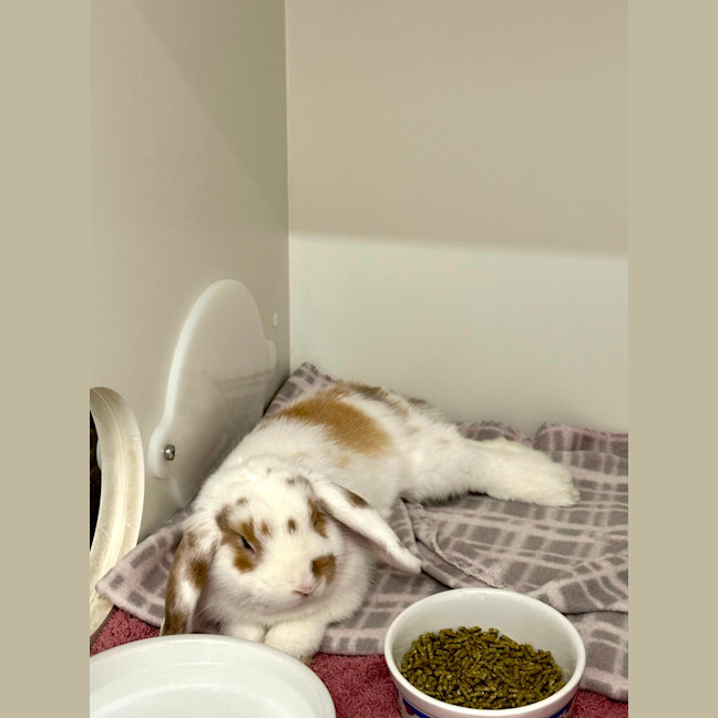 Photo of Zachary Quack