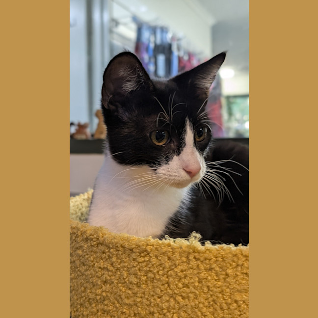 Photo of Tony