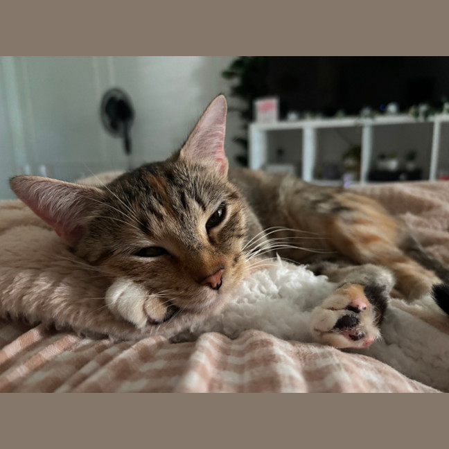 Photo of Bridgette 