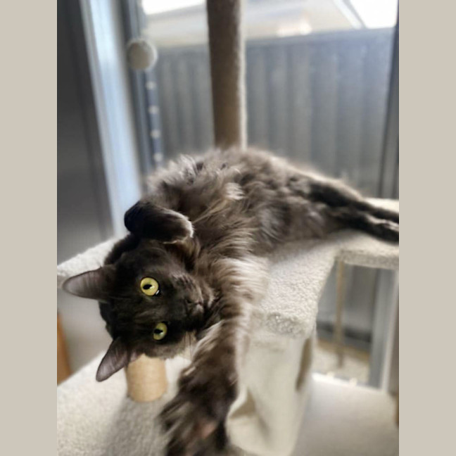 Photo of 💙 Blu 💙