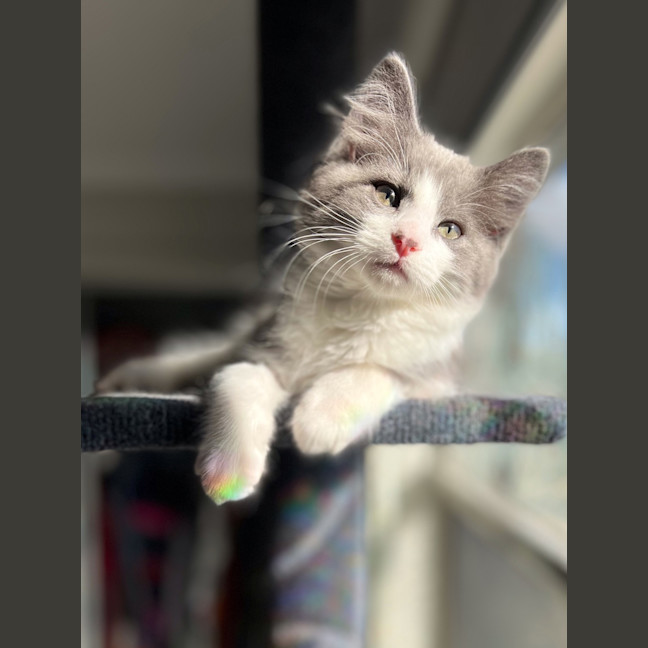 Photo of Bertie
