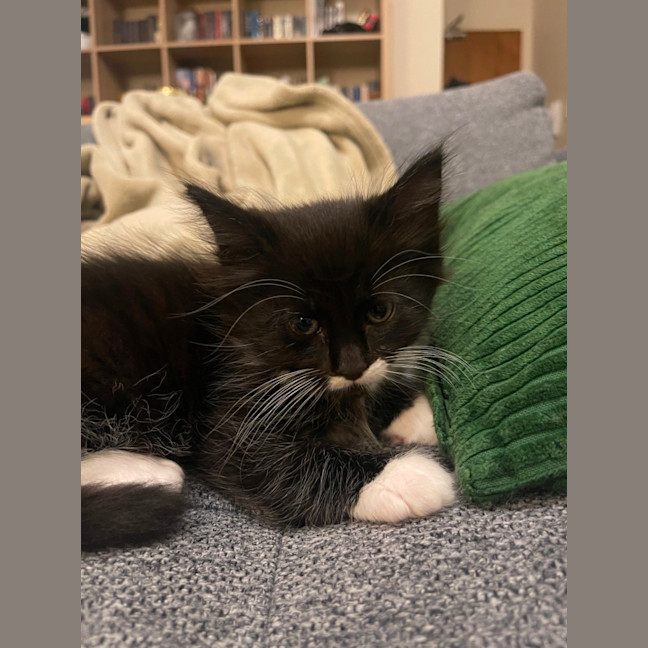 Photo of Mo