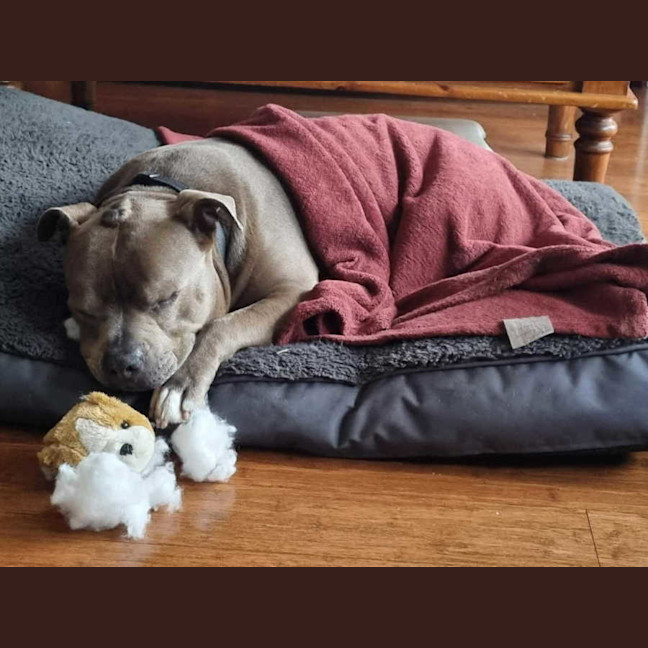 Photo of Mogwai