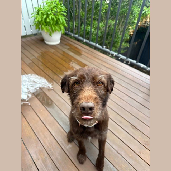 Photo of Bingo