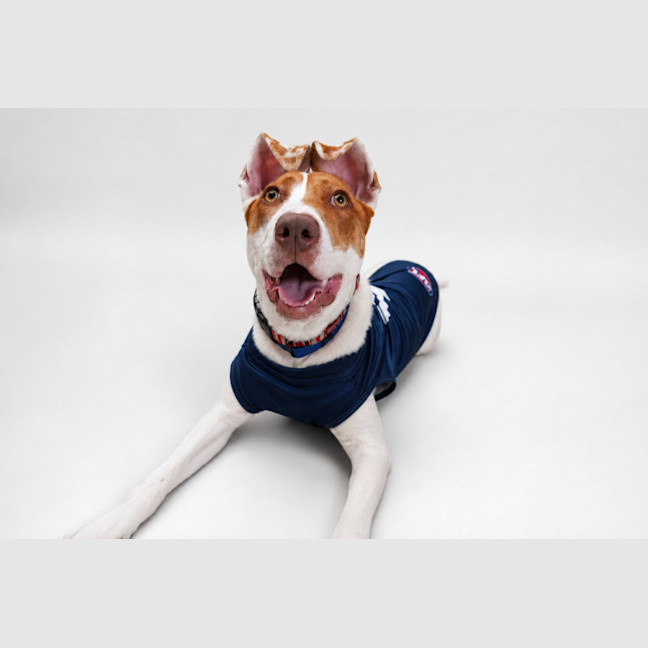 Photo of Spice