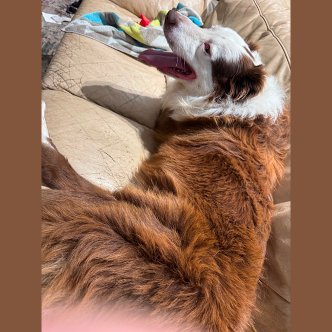 Photo of Hershey